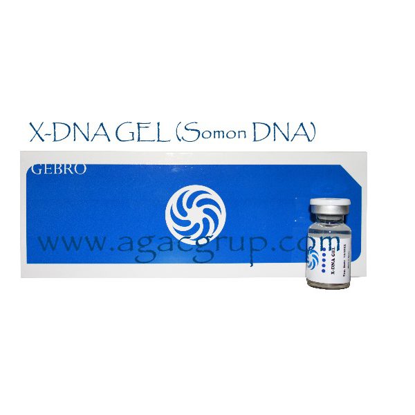 somon dna